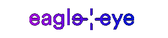 Logo Eagle Eye